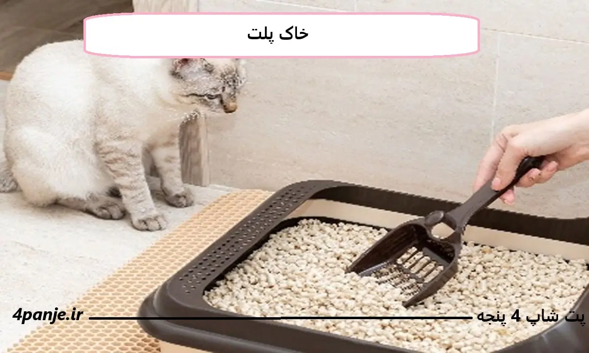 خاک پلت