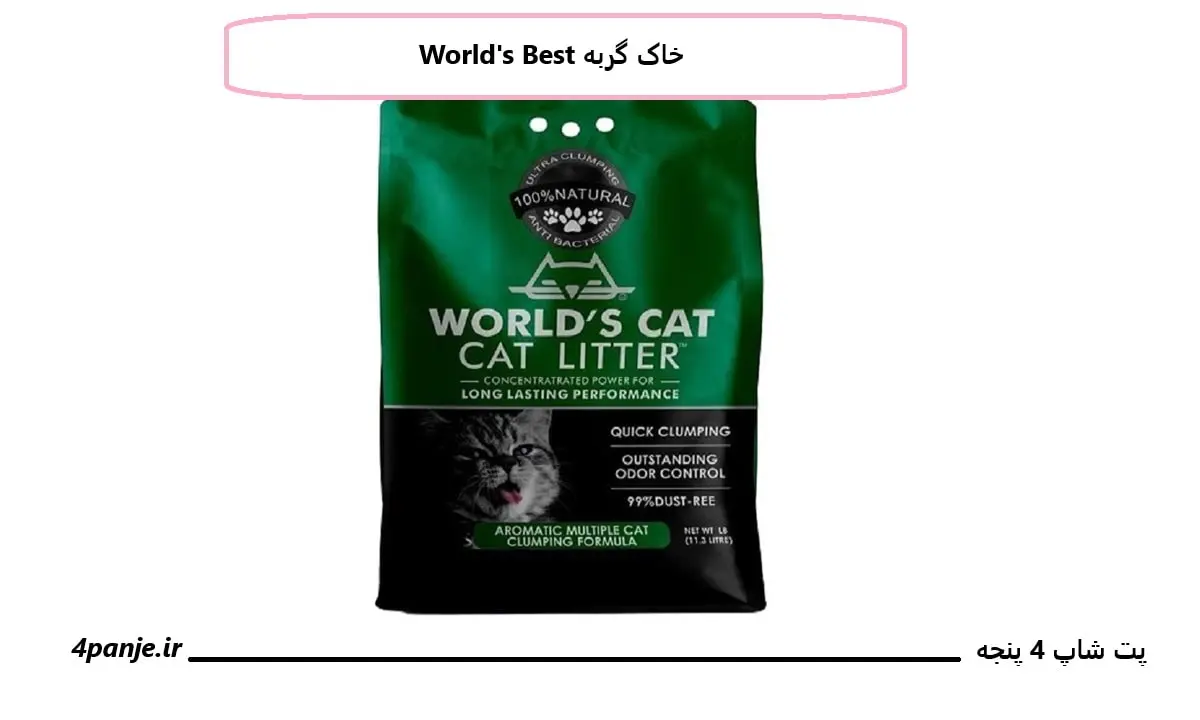 خاک گربه World's Best