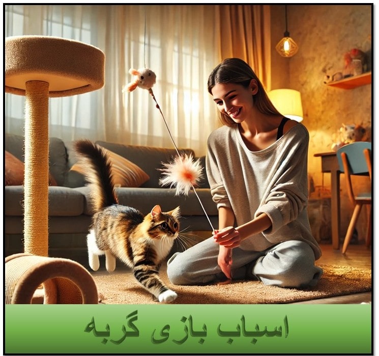 اسباب بازی گربه