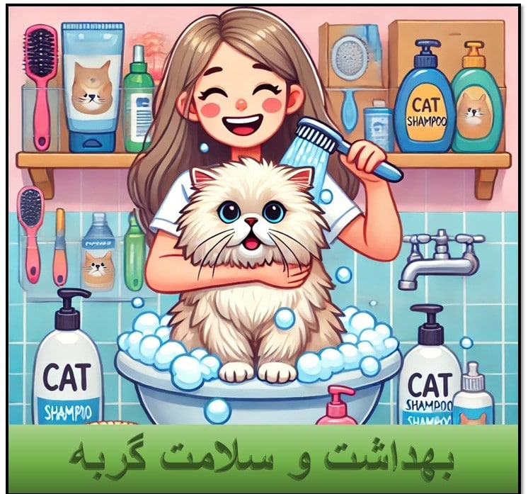 بهداشت و سلامت گربه