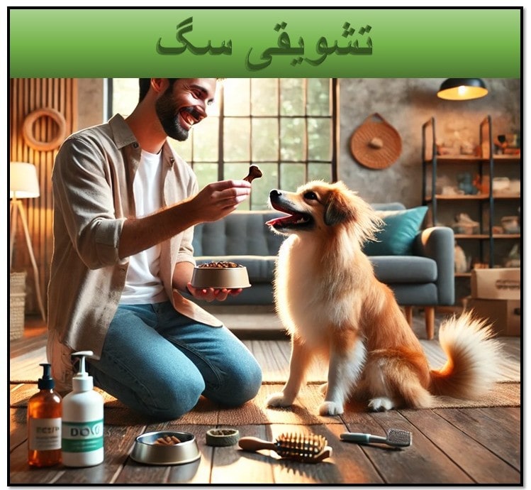 تشویقی سگ