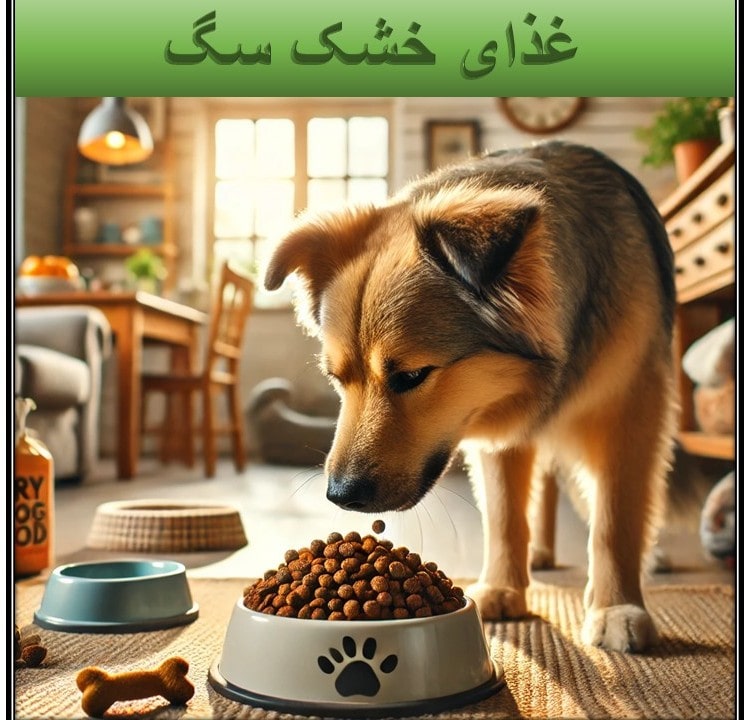 غذای خشک سگ