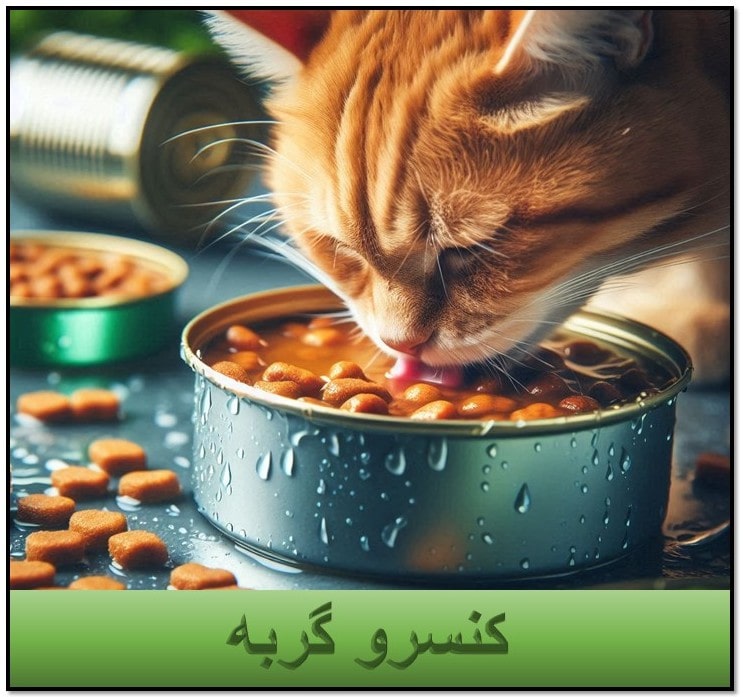 کنسرو گربه